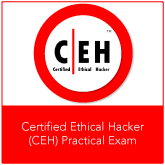CEH V11 Practice Exam – Excellence Strategies For Success In ECCouncil CEH-v11 Practice Exam